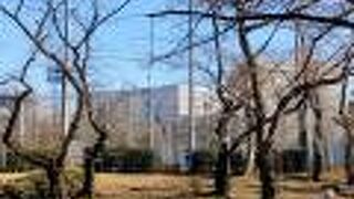 上野に行くと公園の中で、野球をしている声が聞こえてきます