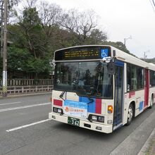 駿府浪漫バス