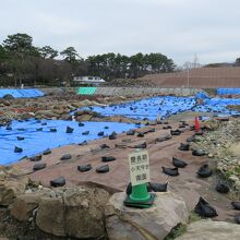 広い発掘現場です