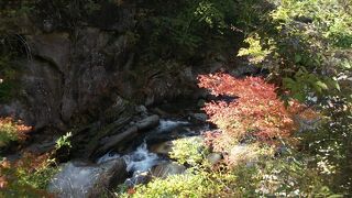 自然の中を散策