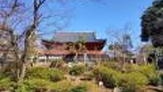 本堂正面の清水の舞台からの不忍池の景色が人気です。景色を楽しむには、緑が濃くなる初夏の景色がお勧めです