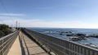 アオバトの飛来地として有名