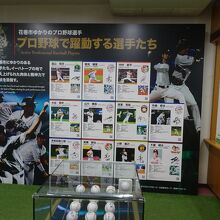 花巻出身プロ野球選手です。