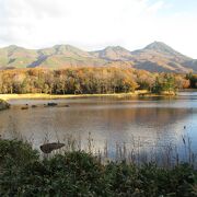 秋の知床二湖