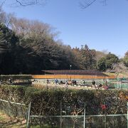 ３種の池がある