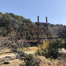 湿生植物園の周辺