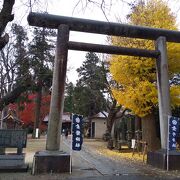 一度に多くのご朱印を拝受できる神社