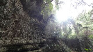 ツァーガイドと共に探険に向かいます