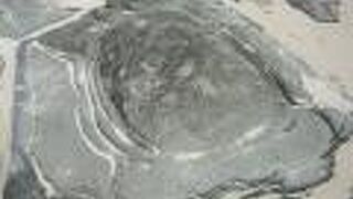 カメの甲羅に似た六角形の岩石が並んでいます