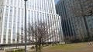 近くの幼稚園児がたくさん遊びに来ていました