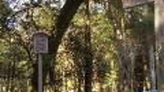 内宮のなかの静かな別宮