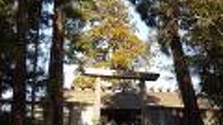 日本の心のよりどころ