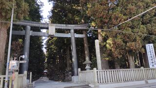 巨木に囲まれた神社