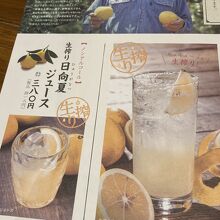 日向夏って上品で美味しい