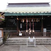 大きく立派な鳥居が目を引く歴史ある神社