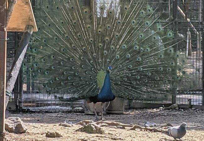 福岡県の動物園 クチコミ人気ランキングtop10 フォートラベル 福岡県の動物園 クチコミ人気ランキングtop10 フォートラベル