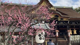 やはり梅の時期が最高