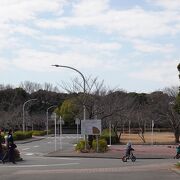 花見川緑地の一画にあります