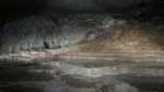 間違いなく、代表的な景色の１つです。