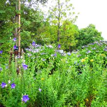 吉野ケ里歴史公園