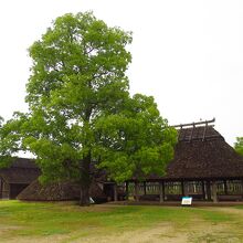吉野ヶ里遺跡 南内郭
