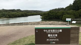 マングローブを見られる散策路があります。