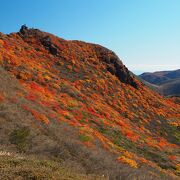 くじゅうで屈指の紅葉が拝めます