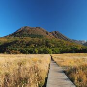 草紅葉が心地よい