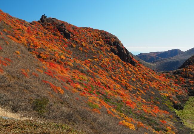 くじゅうで屈指の紅葉が拝めます