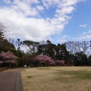 アップダウンに富んだ自然豊かな公園