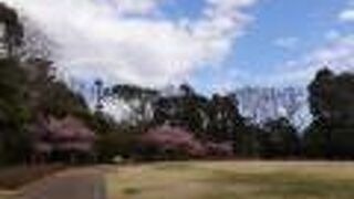 アップダウンに富んだ自然豊かな公園