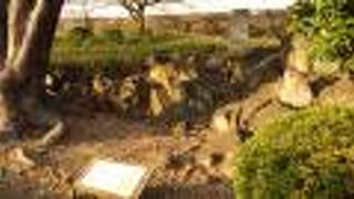 お城の中で石を切り出していたとは驚きです