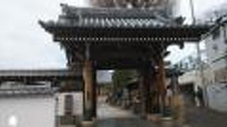 大きなイチョウの木がそびえる