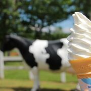 芝生に座ってソフトクリーム