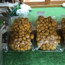 なめこがあった！それも長瀞の！