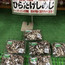 気になるのでカゴへ