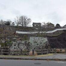 臼杵市観光交流プラザから見た城壁と櫓風景