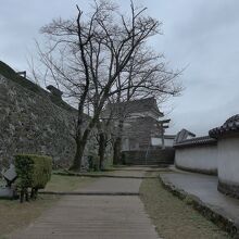 高い城壁と白壁の塀