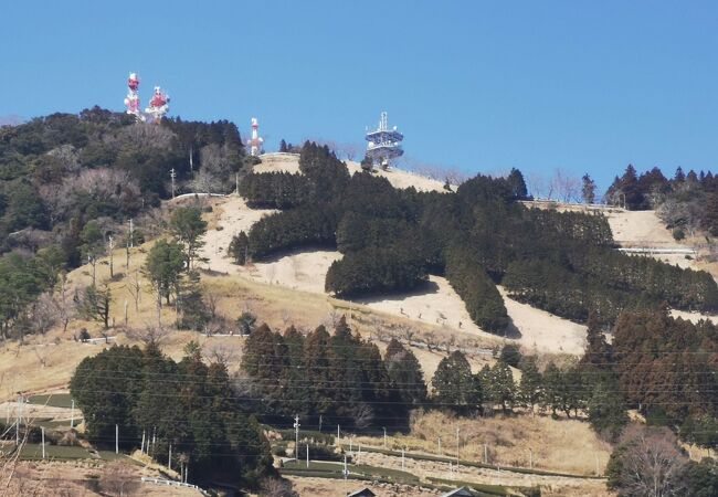 片道約1時間で山頂です。