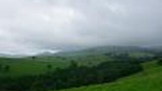 広大な敷地にある牧場