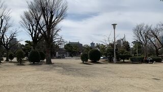 都会の中の公園