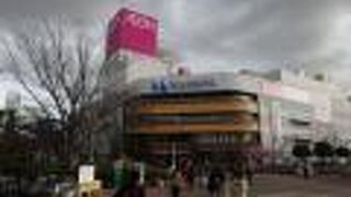 河津桜がきれいでした