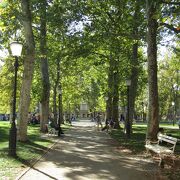 大学の目の前の公園