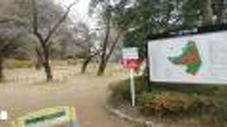 いろいろな建物を見学できて楽しめた