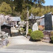 境内の梅の花が美しい寺院