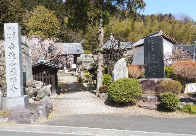 境内の梅の花が美しい寺院