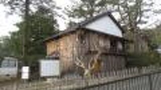 倒幕の会議は踊る。