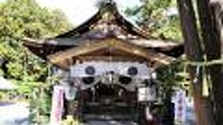 近江の国一宮、鎌倉幕府初代将軍源頼朝ゆかりの神社です。参拝者専用駐車場完備。