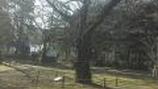 駐輪場がわかりにくい