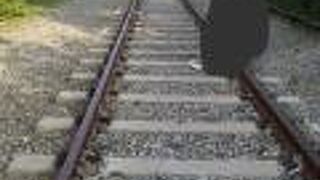 歩きやすい靴で。